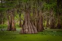 041 Lake Martin, Breaux Bridge